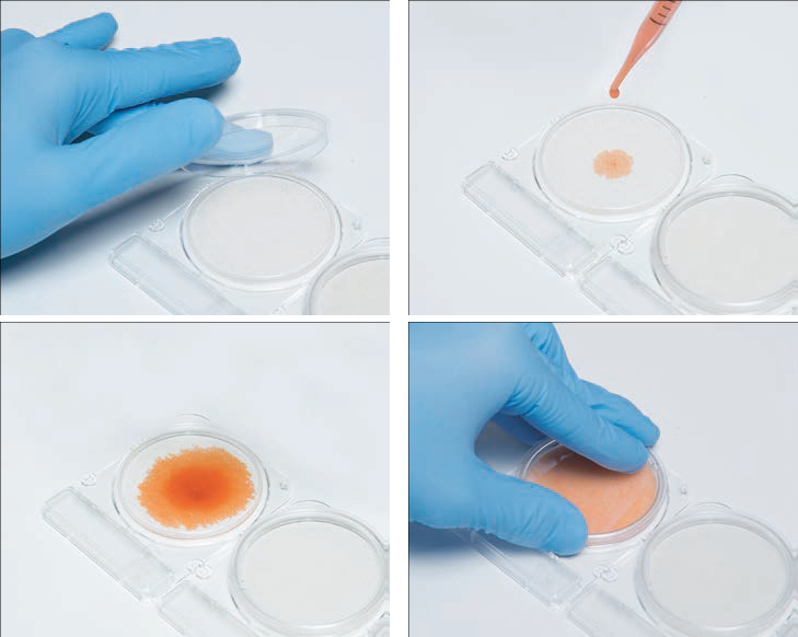 Đĩa Compact Dry Kiểm Tra Salmonella