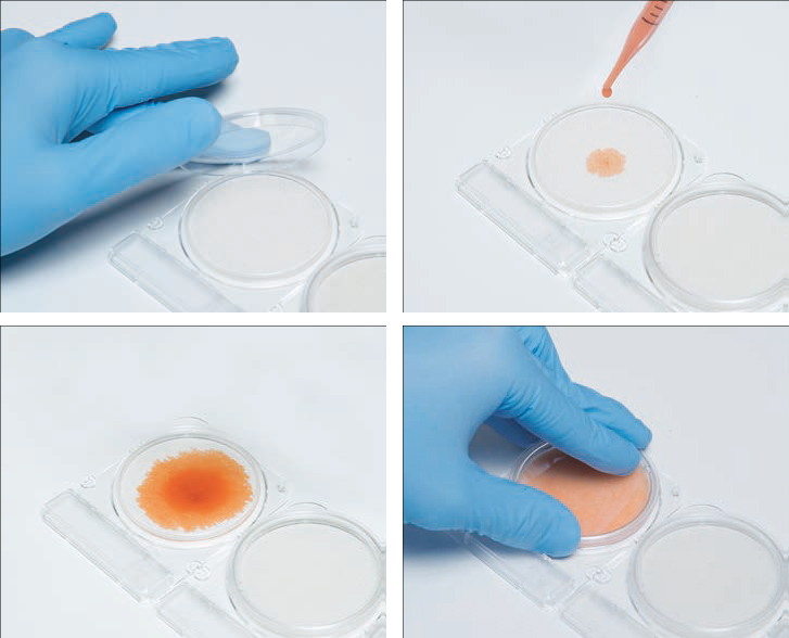 ĐĨA COMPACT DRY KIỂM TRA STAPHYLOCOCCUS AUREUS - XSA  