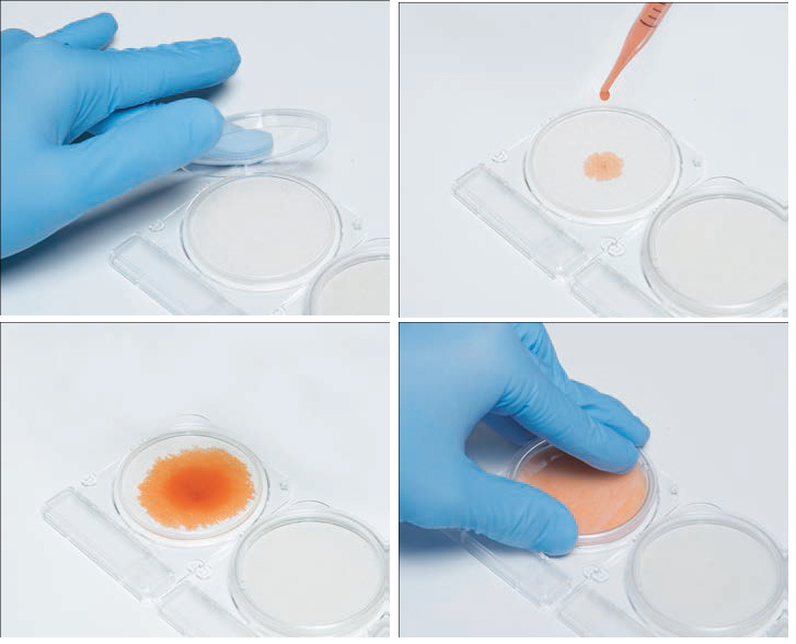 Đĩa Compact Dry Kiểm Vi Khuẩn Ecoli Coliform