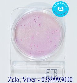 Đĩa Compact Dry Kiểm Tra Enterobacteriaceae 