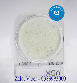 Đĩa Compact Dry Kiểm Tra Staphylococcus Aureus