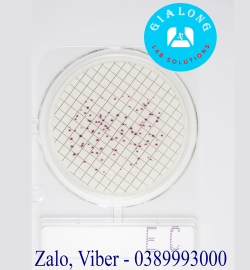 Đĩa Compact Dry Kiểm Vi Khuẩn Ecoli Coliform – Ecoli Coliform Ec