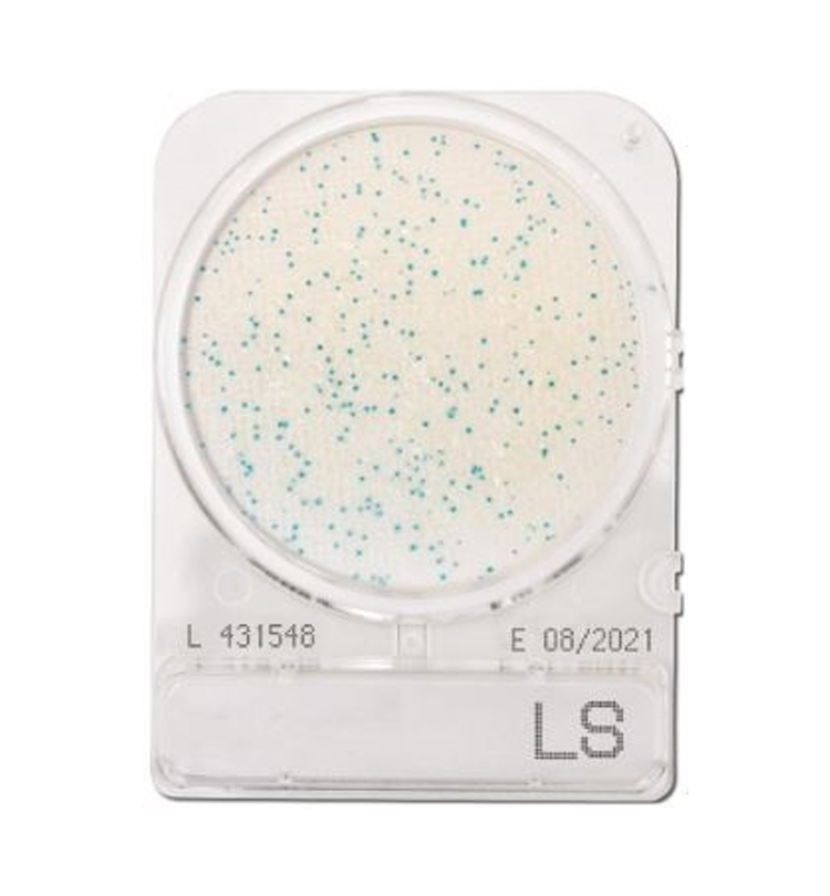 Đĩa Compact Dry Listeria Compact Dry Ls Listeria